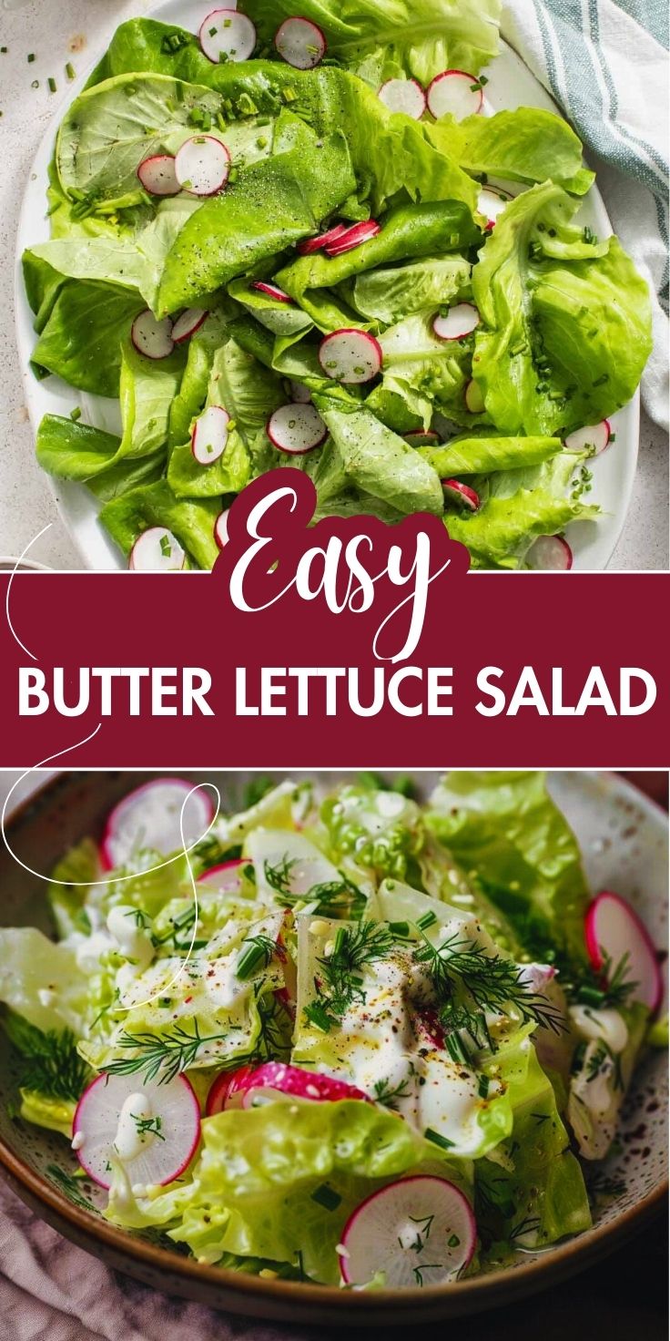 Unlock the Secret to a Gorgeous Butter Lettuce Salad